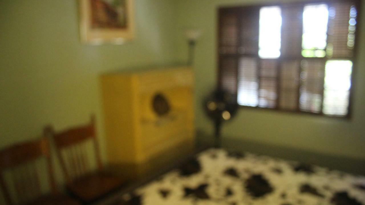 Mark'S Poolside Retreat Apartment ซานโฮเซ ภายนอก รูปภาพ