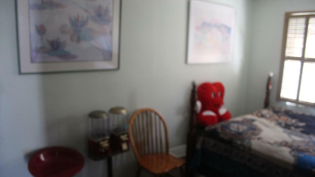Mark'S Poolside Retreat Apartment ซานโฮเซ ภายนอก รูปภาพ