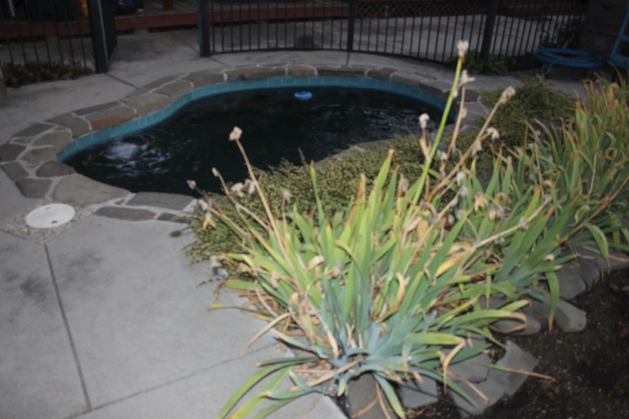 Mark'S Poolside Retreat Apartment ซานโฮเซ ภายนอก รูปภาพ